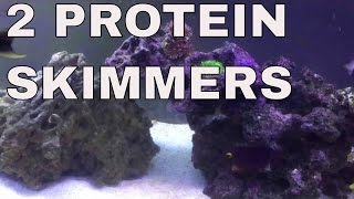 Two Protein Skimmers on Reef Tank