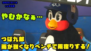 つば九郎　雨が強くなりベンチで雨宿りして選手を待つ！　2023/5/14 vs中日