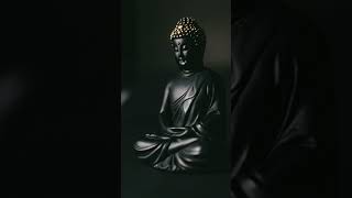 Buddha Quotes About Life || Life Changing Quotes From  Buddha || Motivational Quotes From Buddha