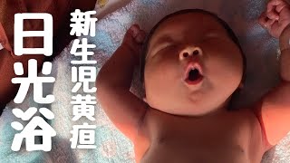 【生後４日】黄疸と診断された新生児の毎日