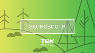 «Эконовости»: экологические плюсы пандемии