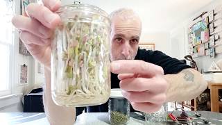 Easy Mung Bean Sprouts