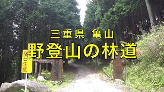 【険道 林道】三重県野登山を登る林道を終点まで行ってみました【モトブログ】大人のバイクNC700インテグラ