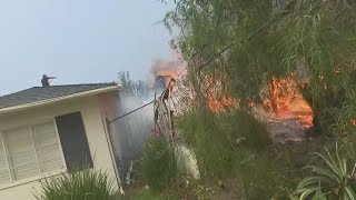 Devastating wildfires tear across Los Angeles at frightening speeds