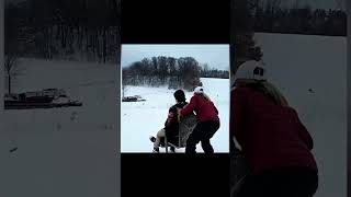 雪遊び中のハプニング動画3選 #shorts #面白い #おもしろ #おもしろ動画 #ハプニング #笑い #爆笑