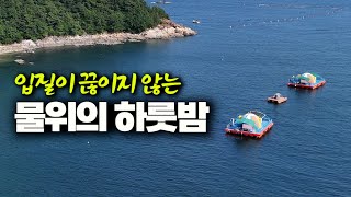 고기가 바글바글! 안주 걱정없는 물위에서 하룻밤 I 해상콘도 낚시 (박선비tv)