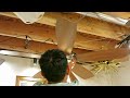 fanimation celano ceiling fan