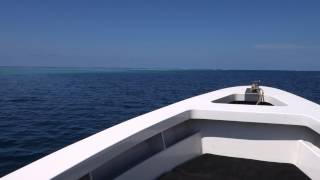 Levuka to Leleuvia Island Boat ride Fiji