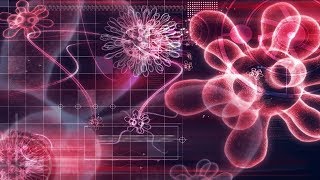 The Evolution Of Viruses | Science Full Documentary | The Deadliest Viruses In The World