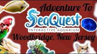 SEAQUEST INTERACTIVE AQUARIUM WOODBRIDGE NJ