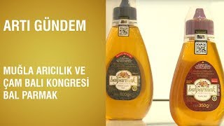 Artı Gündem - Muğla Arıcılık ve Çam Balı Kongresi / Bal Parmak