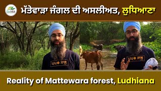 Reality of Mattewara forest || Ludhiana