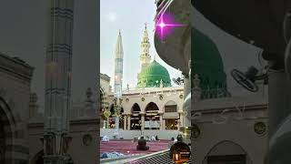 Muhammad Sayed Ul Arabi #wayoflight Subscribe and share نعت سبحان_الله #fypシ#trending #viralvideo
