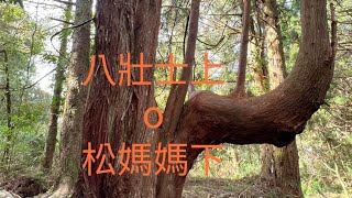 走林相很美的馬崙山步道，下山車泊八起營區吃燒酒雞暖胃