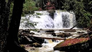 Freedom Falls / Venango County / Pennsylvania