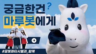 [마루봇] 꿈빛파티시엘이 알려주는 대학정보 쉽고 빠르게 얻는법!