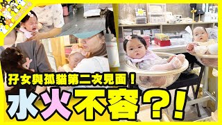 【孤貓工作室】六個月孖女與孤貓第二次見面！貓與BB水火不容？！