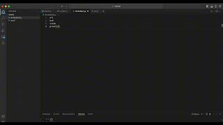 Divided by 0 in Python - kid learn fun code