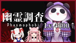 【Phasmophobia】新人調査員たちがビビってるの眺めとく【コラボ】