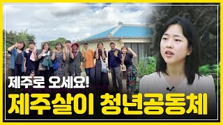 [팔팔한 인터뷰] 제주살이 청년들의 자급자족 라이프! 프로젝트그룹 짓다 김지수 대표