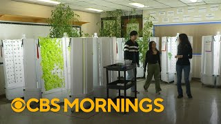 Rebuilding America: How a hydroponic school garden provides fresh lunches for students