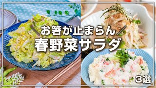 お箸が止まらーん🤣春野菜がモリモリいけちゃう✨おすすめサラダ3選　簡単レシピ/時短レシピ/やみつきレシピ/無限レシピ/サラダレシピ/野菜ソムリエ