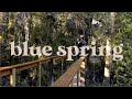 Sage. - Blue Spring (Lyric Video)