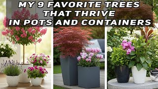 My 9 Favorite Trees That Thrive in Pots and Containers