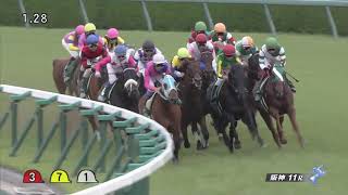 Staphanos - The Group Three Naruo Kinen