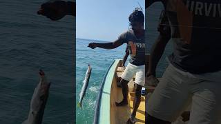 Back to Back caught barracuda fish 🔥அடுத்தடுத்து மாட்டிய ஊளி மீன்  🎉🎉