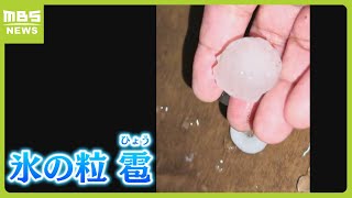 なぜこの時期に『雹』？兵庫県姫路市などで観測　季節の変わり目の今が“不安定な天候”に注意必要　近畿地方では『夏日』のところも（2024年4月17日）