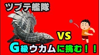 【MHXX NS ver】『ツブテ弾でG級ウカム討伐！』