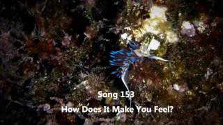 Song 153 How Does It Make You Feel - Synthesizer Version