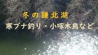 冬の鎌北湖・寒ブナ釣り小啄木鳥など