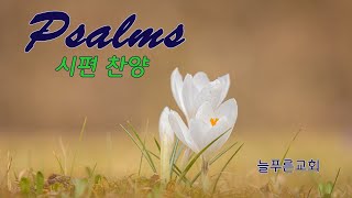 시편 141편 (늘푸른교회)