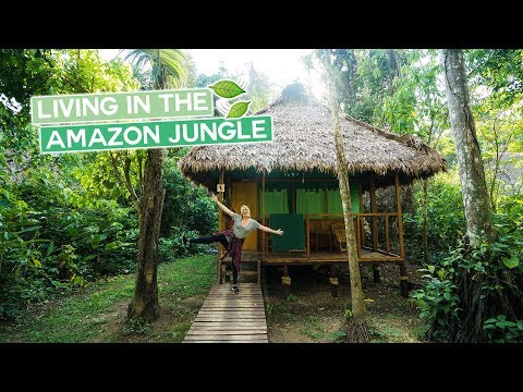 Living in the Amazon Jungle | Peru Vlog Living in the Amazon Jungle | Peru Vlog