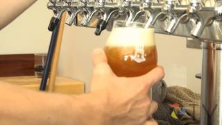 QTV Kingston Life: Stone City Ales