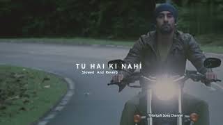 Tu Hai Ki Nahi ( Perfectly Slowed ) | Lofi Song | Total Lofi Song Channel
