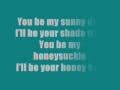 Blake Shelton-Honeybee Lyrics