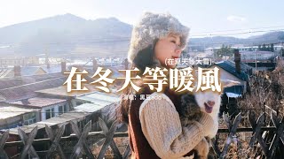 黑豆ado - 在冬天等暖風『我在冬天等暖風 在夏天等大雪，最難忘的回憶總是會在反季節，我在秋天等盛開 在春天等落葉，還是會懷念你在我身邊。』【動態歌詞MV】