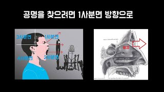 성악발성꿀팁 | 공명을 찾으려면 1사분면 방향으로