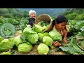 Harvest cabbage to sell at the market - Make a wooden dining table with your child - Lý Thị An