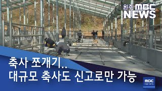 2020. 11. 6 [원주MBC] 축사 쪼개기.. 대규모 축사도 신고로만 가능