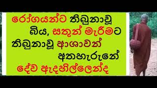 MDM1425 රෝගයන්ට තිබුනාවූ බිය, සතුන් මැරීමට තිබුනාවූ ආශාවන් අතහැරුනේ දේව ඇදහිල්ලෙන්ද (SUA75)