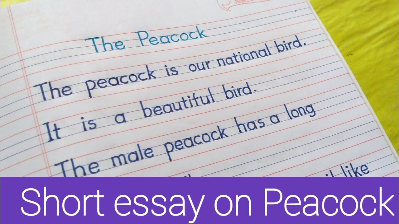 10 Lines Essay On Peacock In English||Essay On Peacock In English ...