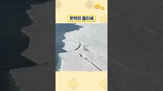 뜻밖의 클리셰