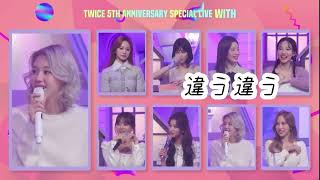 【日本語字幕】 TWICE チェヨン〜メンバーから甘口辛口🍭🔥コメント〜