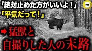 道で傷を負ったクマと遭遇した男性。友人の警告を無視して熊に近づき自撮り開始→直後襲われて…【動物を撮影した人の事故・事件5選】