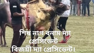 ২৩/১২/২৪এর ষাঁড়ের লড়াই দ্যা প্রেসিডেন্ট বনাম শিষ নাগ। বিজয়ী দ্যা প্রেসিডেন্ট।