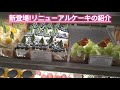 【今週のショーケース】かぼちゃのプリン 紫いものショート シャインマスカットのショート u0026タルト